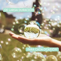 NOA 100ml-62697 NOA 100ml-62697 4